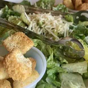 Big Garden Salad