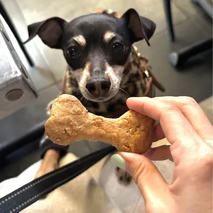Jonny with his peanut butter treat