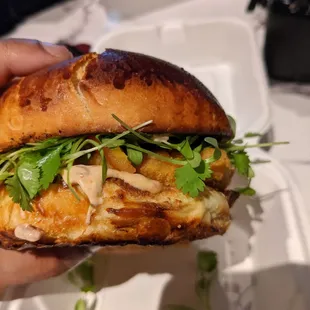 Crispy Chicken Sandwich