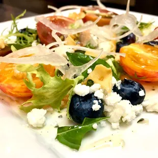 Blueberry, Fennel and Farmer&apos;s Cheese Salad