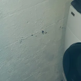 Start of Black Mold.  It is worse than this now