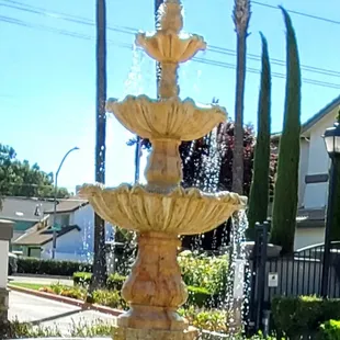 The fountain in front.