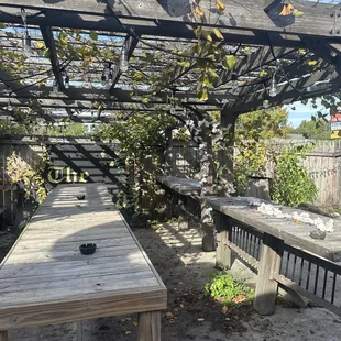 Cute area under real grape vines