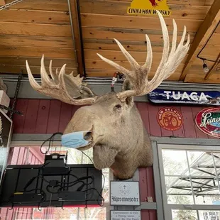 ramen and noodles, interior