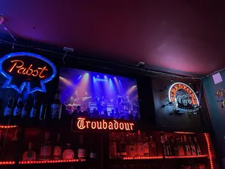 Troubadour