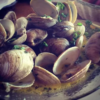 Steamed Clams