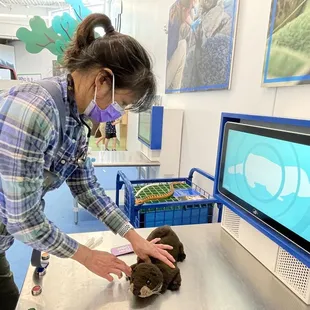 play taking an  ultrasound