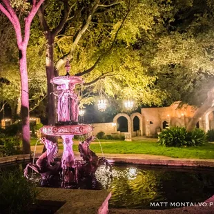 Beautiful under the trees