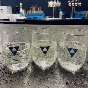 Seltzer Flight