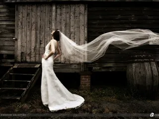 The Veil Kc