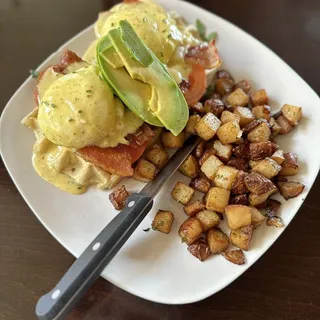 CA Benedict