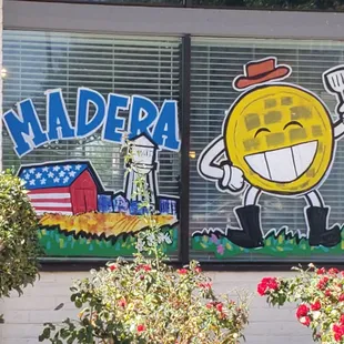 I love their windows