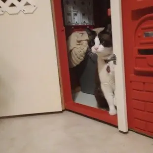 Suki deciding if she wants to leave her little house