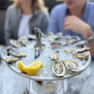 shellfish, food, mussels, oysters and mussels, oysters