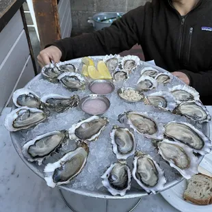 Oysters