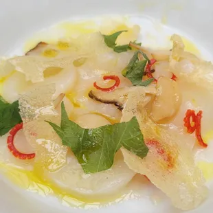 Scallop Crudo