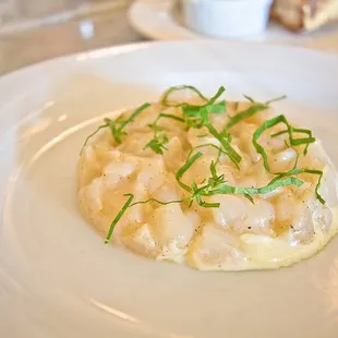 Scallop Tartare