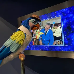 Created animated hand controlled birds