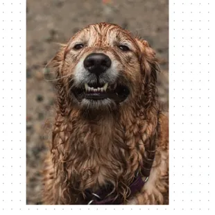 The Car Wash Lab
Car Wash
Bentonville, Arkansas