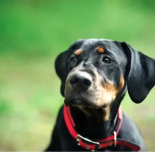 The Car Wash Lab
Car Wash
Bentonville, Arkansas