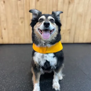 Kannon wearing a life jacket they provided