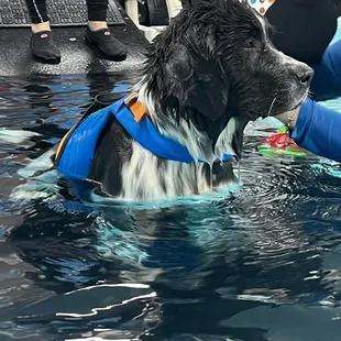 Quickly fell in love with the water!