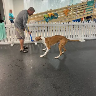 Daniel playing tag with shade!