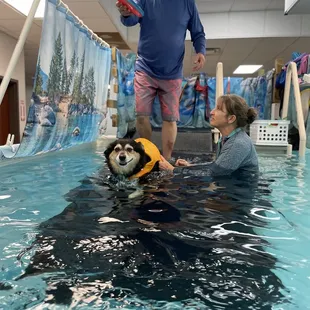 Kannon swimming with the staff!