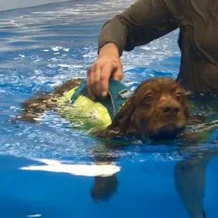 Manny started with the life jacket and graduated to swimming solo after gaining some confidence!
