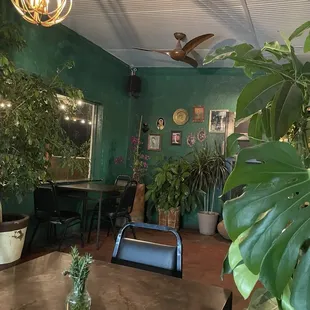 It's chilly outside, so all of these beauties were brought in.