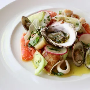Chilled Marinated Fish &amp; Shellfish Salad with Shaved Fennel, Avocado, Radishes, Cucumbers, Watercress &amp; Salsa Verde