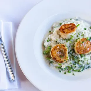 Sweet Pea Risotto with Day Boat Scallops