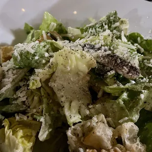 Cesar Salad