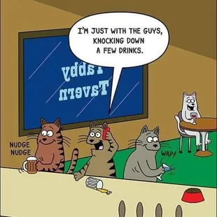 Cool Cats at The Watering Hole