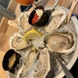 Oysters on the Half Shell