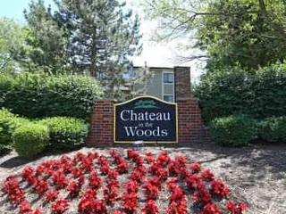 Chateau In the Woods Apts