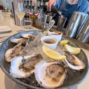 East coast oysters