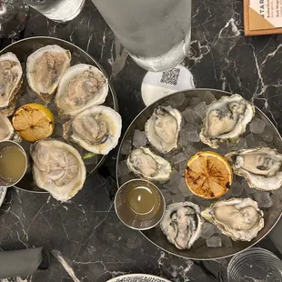 Oysters (photographed by Dave Liao)