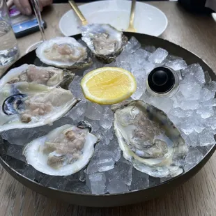 Half-Off Daily Oysters