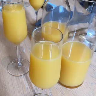 Classic Mimosa