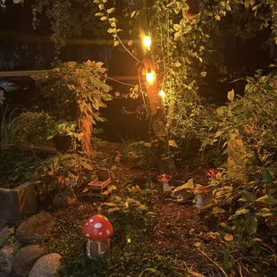 Outdoor fairy garden