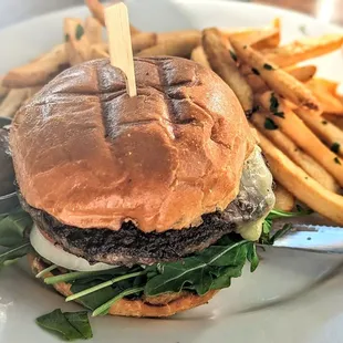 Burger and Fries