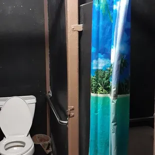 What makes a dive bar a dive bar? A shower curtain for a stall door is one sign......