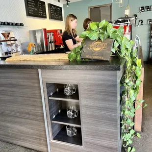 a woman at the counter