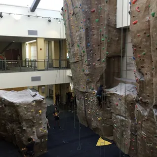 The rock climbing wall