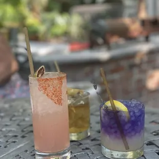 Free Puppies, Orchard Old Fashioned, Best Friends Means Friends Forever