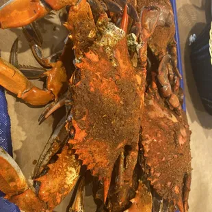 Medium half of dozen males! AMAZING....