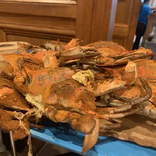 Maryland Blue Crabs