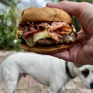Cuban
