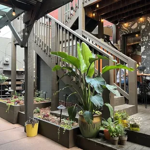 Decor